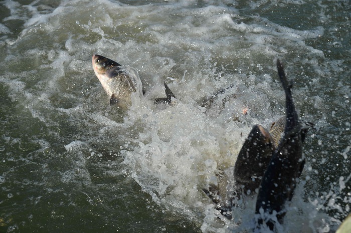 В рамках проекта Росатома «Mission: Talent» группа школьных учителей посетила объекты ГХК